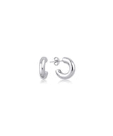 Mini Curve Earring